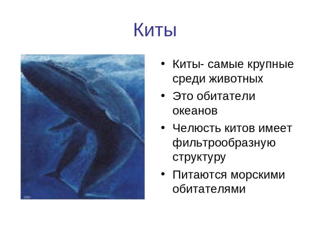 Киты Киты- самые крупные среди животных Это обитатели океанов Челюсть китов имеет фильтрообразную структуру Питаются морскими обитателями