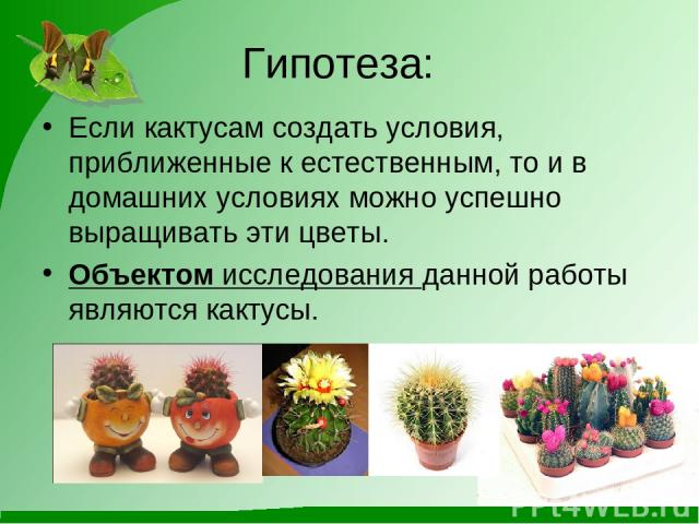 Гипотеза: Если кактусам создать условия, приближенные к естественным, то и в домашних условиях можно успешно выращивать эти цветы. Объектом исследования данной работы являются кактусы.