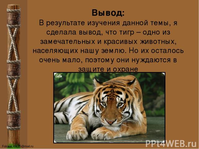Вывод: В результате изучения данной темы, я сделала вывод, что тигр – одно из замечательных и красивых животных, населяющих нашу землю. Но их осталось очень мало, поэтому они нуждаются в защите и охране FokinaLida.75@mail.ru