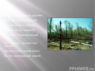 В тот год почернели деревья И лес не оделся листвой. Пустые дома и деревни Пугал