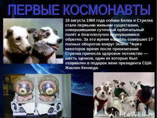 19 августа 1960 года собаки Белка и Стрелка стали первыми живыми существами, сов