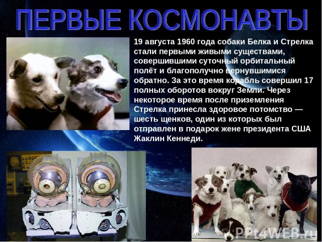 19 августа 1960 года собаки Белка и Стрелка стали первыми живыми существами, совершившими суточный орбитальный полёт и благополучно вернувшимися обратно. За это время корабль совершил 17 полных оборотов вокруг Земли. Через некоторое время после приз…