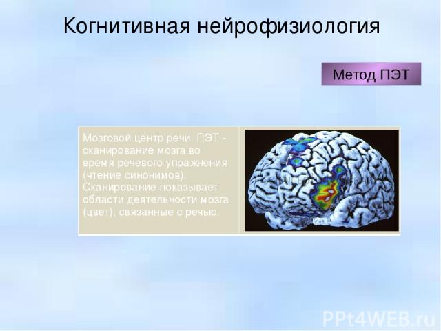 Когнитивная нейрофизиология Метод ПЭТ Мозговой центр речи. ПЭТ - сканирование мозга во время речевого упражнения (чтение синонимов). Сканирование показывает области деятельности мозга (цвет), связанные с речью.