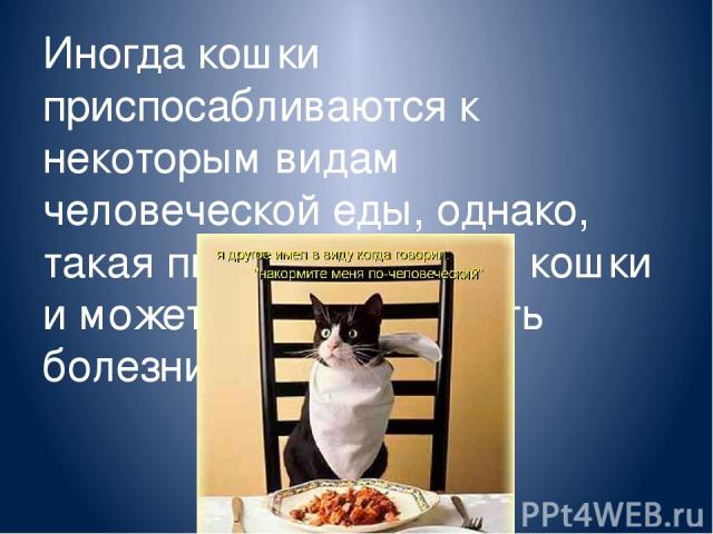 Иногда кошки приспосабливаются к некоторым видам человеческой еды, однако, такая пища вредна для кошки и может спровоцировать болезни.