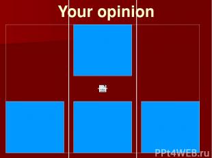 Your opinion