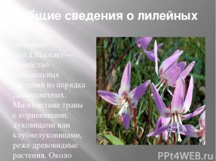 Общие сведения о лилейных Лилейные (лат.Liliaceae) — семейство однодольных расте