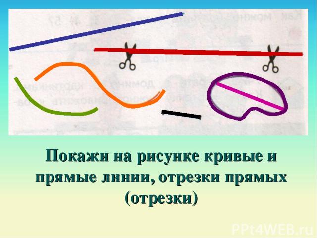Покажи на рисунке кривые и прямые линии, отрезки прямых (отрезки)