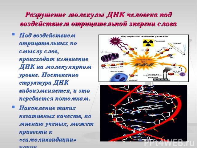 Разрушение молекулы ДНК человека под воздействием отрицательной энергии слова Под воздействием отрицательных по смыслу слов, происходит изменение ДНК на молекулярном уровне. Постепенно структура ДНК видоизменяется, и это передается потомкам. Накопле…