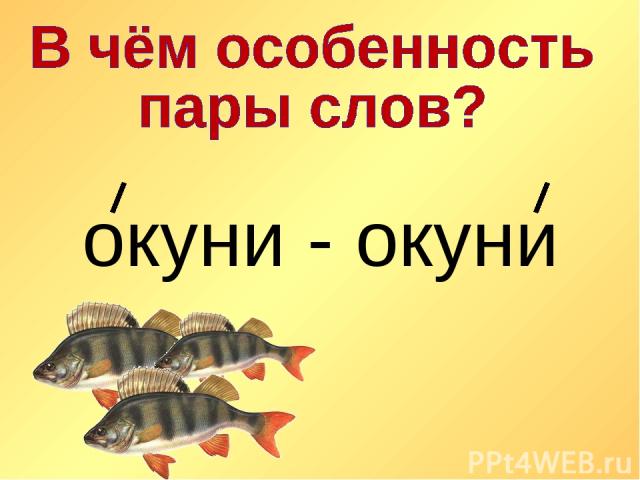 окуни - окуни