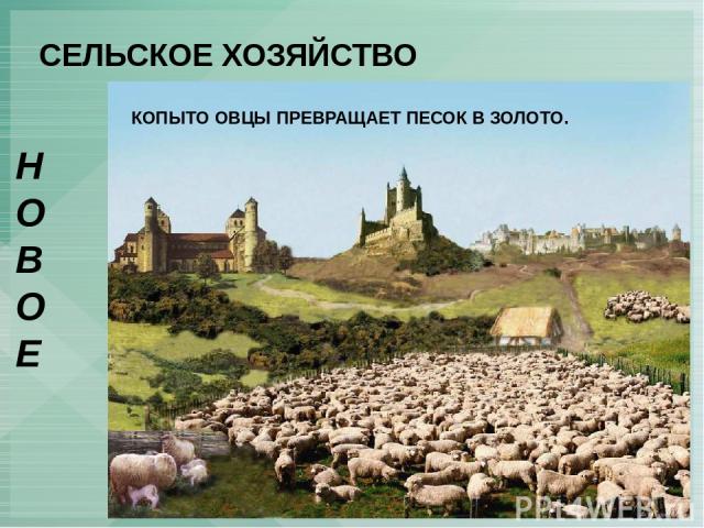 СЕЛЬСКОЕ ХОЗЯЙСТВО НОВОЕ ОГОРАЖИВАНИЯ – сгон английских крестьян с земли для развития овцеводства. КОПЫТО ОВЦЫ ПРЕВРАЩАЕТ ПЕСОК В ЗОЛОТО.