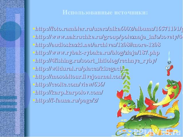 Использованные источники: http://foto.rambler.ru/users/nika6002/albums/16571191/photo/46c628bf-9369-d6bc-0d0c-d9ef9e272cd9/ http://www.nakruchke.ru/group/poleznaja_info/sovety/46481.html http://audioskazki.net/archives/1208#more-1208 http://www.ryba…