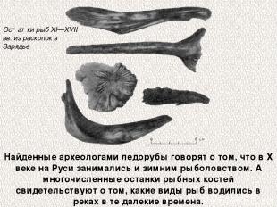 Найденные археологами ледорубы говорят о том, что в Х веке на Руси занимались и