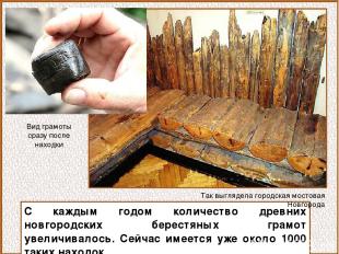 С каждым годом количество древних новгородских берестяных грамот увеличивалось.
