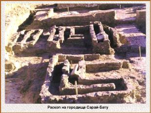 Раскоп на городище Сарай-Бату