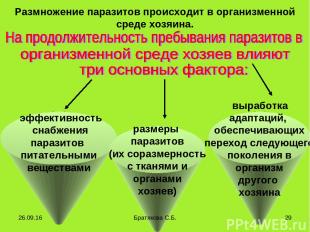 эффективность снабжения паразитов питательными веществами Размножение паразитов