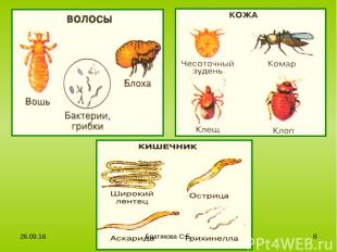 * Братякова С.Б. * Братякова С.Б.