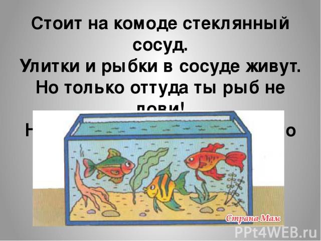 Стоит на комоде стеклянный сосуд. Улитки и рыбки в сосуде живут. Но только оттуда ты рыб не лови! На рыбок красивых ты просто смотри.