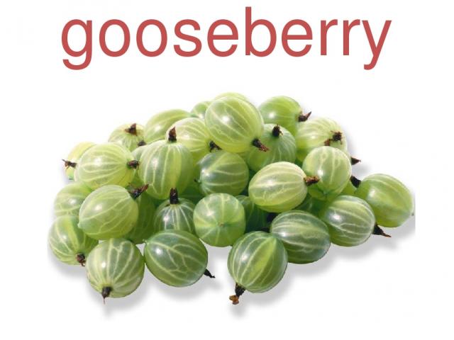 gooseberry