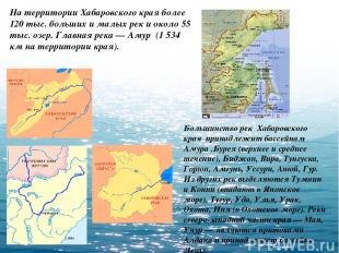 Большинство рек Хабаровского края принадлежит бассейнам Амура .Бурея (верхнее и