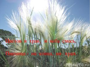 Цветов и трав, и неба смесь, Пшеница - ни конца, ни края.