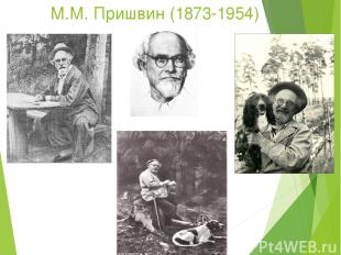 М.М. Пришвин (1873-1954)