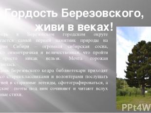 Гордость Березовского, живи в веках! Теперь в Березовском городском округе распо