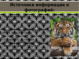 - Галерея фотографий «Амурский тигр фото». http://svistanet.com/zivotnie/amurski