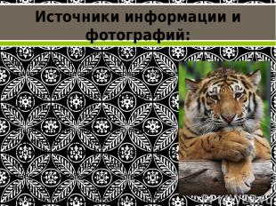 - ВОО Русское географическое общество. Об амурском тигре. http://www.rgo.ru/ru/p