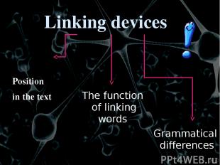Position in the text Some linking words normally form a link between clauses WIT