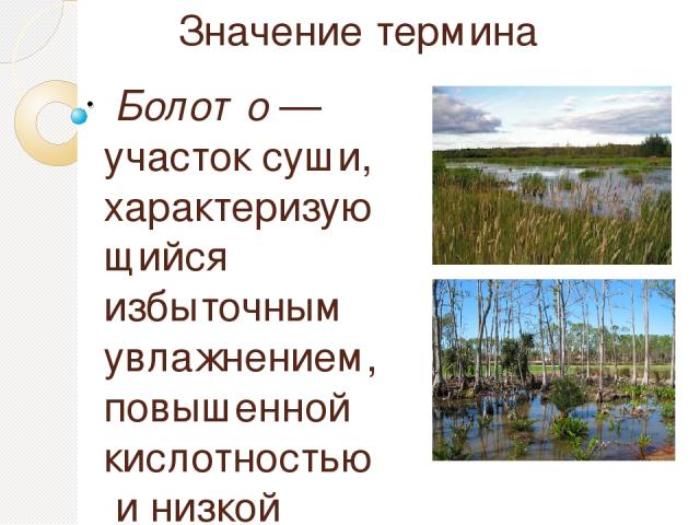 Понятие болото. Причины образования торфа на болотах. Происхождение болот вывод. Повышение кислотности воды болото. Увлажнение избыточное много болот озер