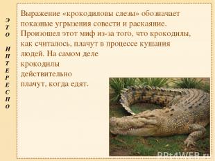Выражение «крокодиловы слезы» обозначает показные угрызения совести и раскаяние.