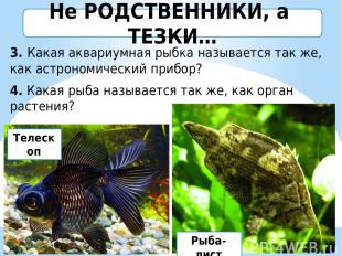 3. Какая аквариумная рыбка называется так же, как астрономический прибор? 4. Как