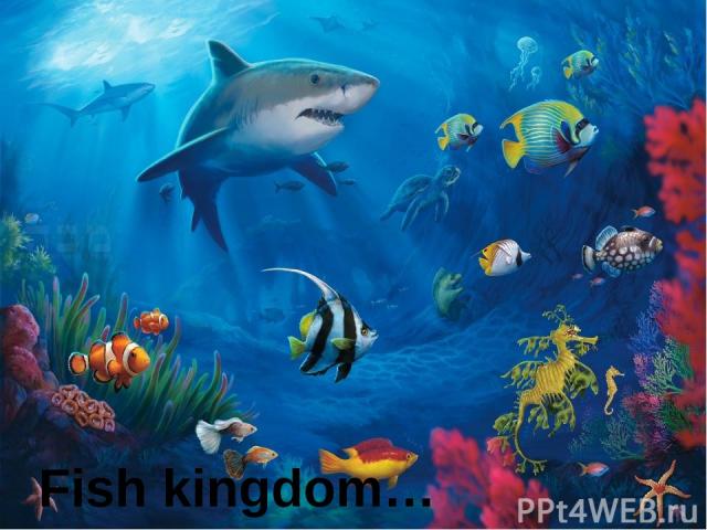 Fish kingdom… Вопросы к слайду: Почему водная среда является «царством» для рыб? Какие условия водной среды оптимальны для разных рыб? Какие приспособления к водной среде имеются у рыб?