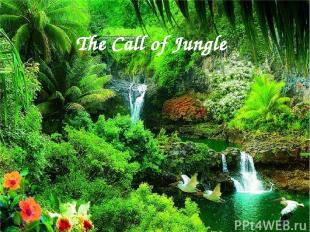 The Call of Jungle