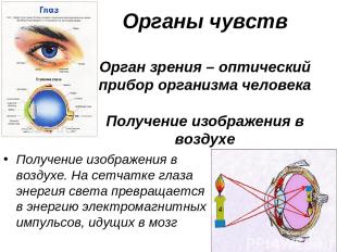 Органы чувств Орган зрения – оптический прибор организма человека Получение изоб