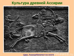 Культура древней Ассирии штурм города ассирийцами Царь Ашшурбанапал на охоте