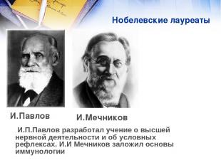 Нобелевские лауреаты И.Мечников И.Павлов И.П.Павлов разработал учение о высшей н
