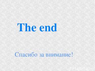 The end Спасибо за внимание!