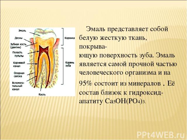     Эмаль представляет собой белую жесткую ткань, покрыва- ющую поверхность зуба. Эмаль является самой прочной частью человеческого организма и на 95% состоит из минералов . Её состав близок к гидроксид-апатиту Ca5OH(PO4)3.