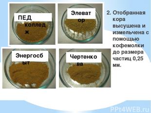 2. Отобранная кора высушена и измельчена с помощью кофемолки до размера частиц 0