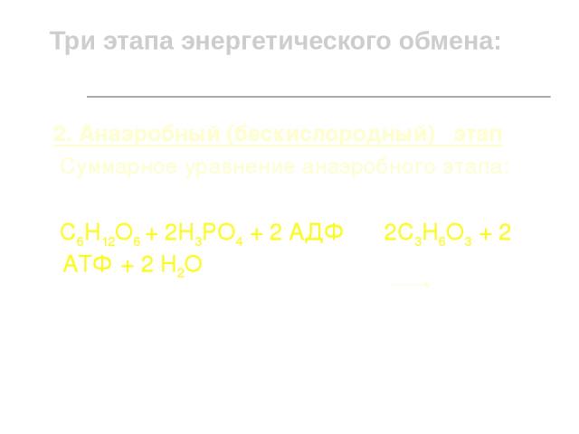 Три этапа энергетического обмена: 2. Анаэробный (бескислородный) этап Суммарное уравнение анаэробного этапа: С6Н12О6 + 2Н3РО4 + 2 АДФ 2С3Н6О3 + 2 АТФ + 2 Н2О