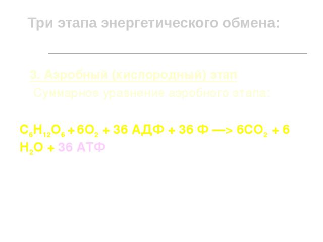 Три этапа энергетического обмена: 3. Аэробный (кислородный) этап Суммарное уравнение аэробного этапа: С6Н12О6 + 6О2 + 36 АДФ + 36 Ф —> 6СО2 + 6 Н2О + 36 АТФ