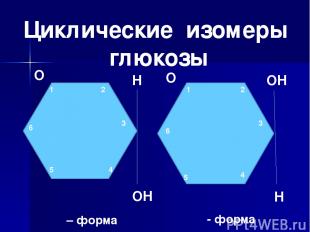 О О Н Н ОН ОН 1 1 2 2 3 3 4 4 5 5 6 6 ά – форма β - форма Циклические изомеры гл