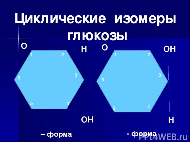 О О Н Н ОН ОН 1 1 2 2 3 3 4 4 5 5 6 6 ά – форма β - форма Циклические изомеры глюкозы