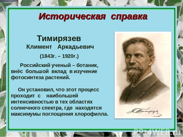 Историческая справка Российский ученый – ботаник, внёс большой вклад в изучение фотосинтеза растений. Он установил, что этот процесс проходит с наибольшей интенсивностью в тех областях солнечного спектра, где находятся максимумы поглощения хлорофилл…