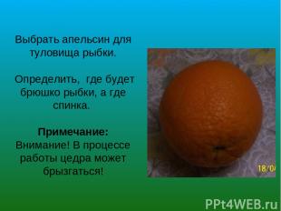 Выбрать апельсин для туловища рыбки. Определить, где будет брюшко рыбки, а где с