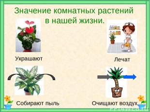 Доклад по теме Как зимуют растения