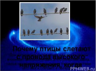 Почему птицы слетают с провода высокого напряжения, когда включают напряжение? П