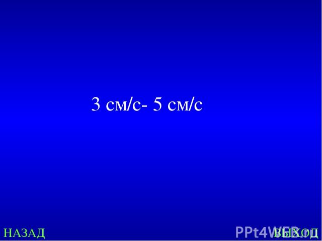 НАЗАД ВЫХОД 3 см/c- 5 см/с