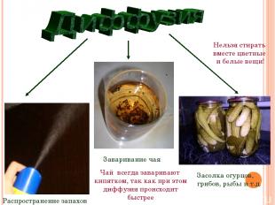 Заваривание чая Засолка огурцов, грибов, рыбы и т.д. Распространение запахов Чай